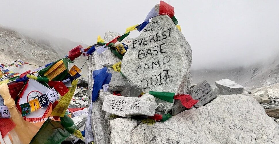 City sightseeing Tours of World mari partyka plzgu9o7xag unsplash (1) (1)