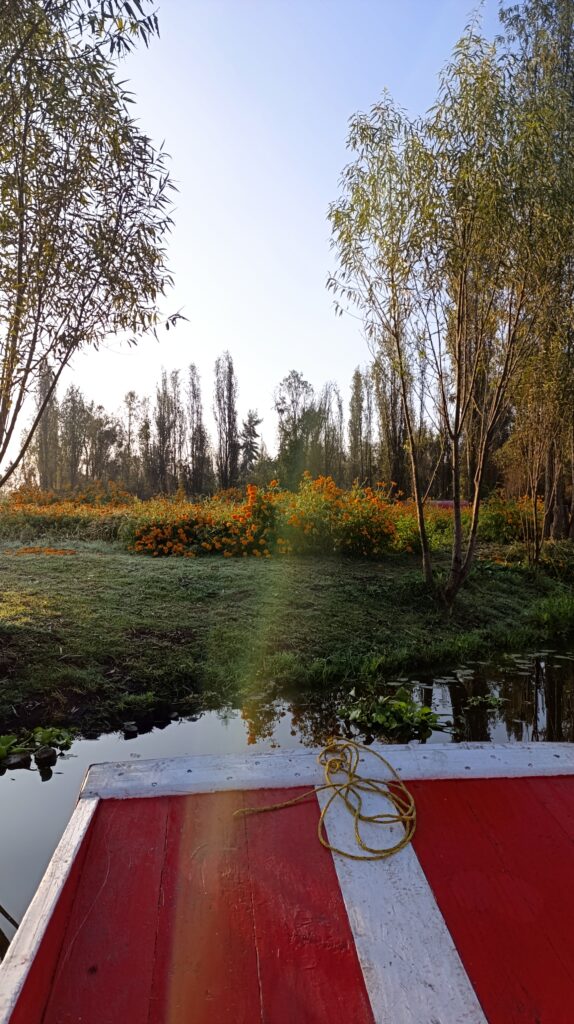 img 20241106 073226