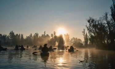 pexels den romi mcrod 355267980 30405502