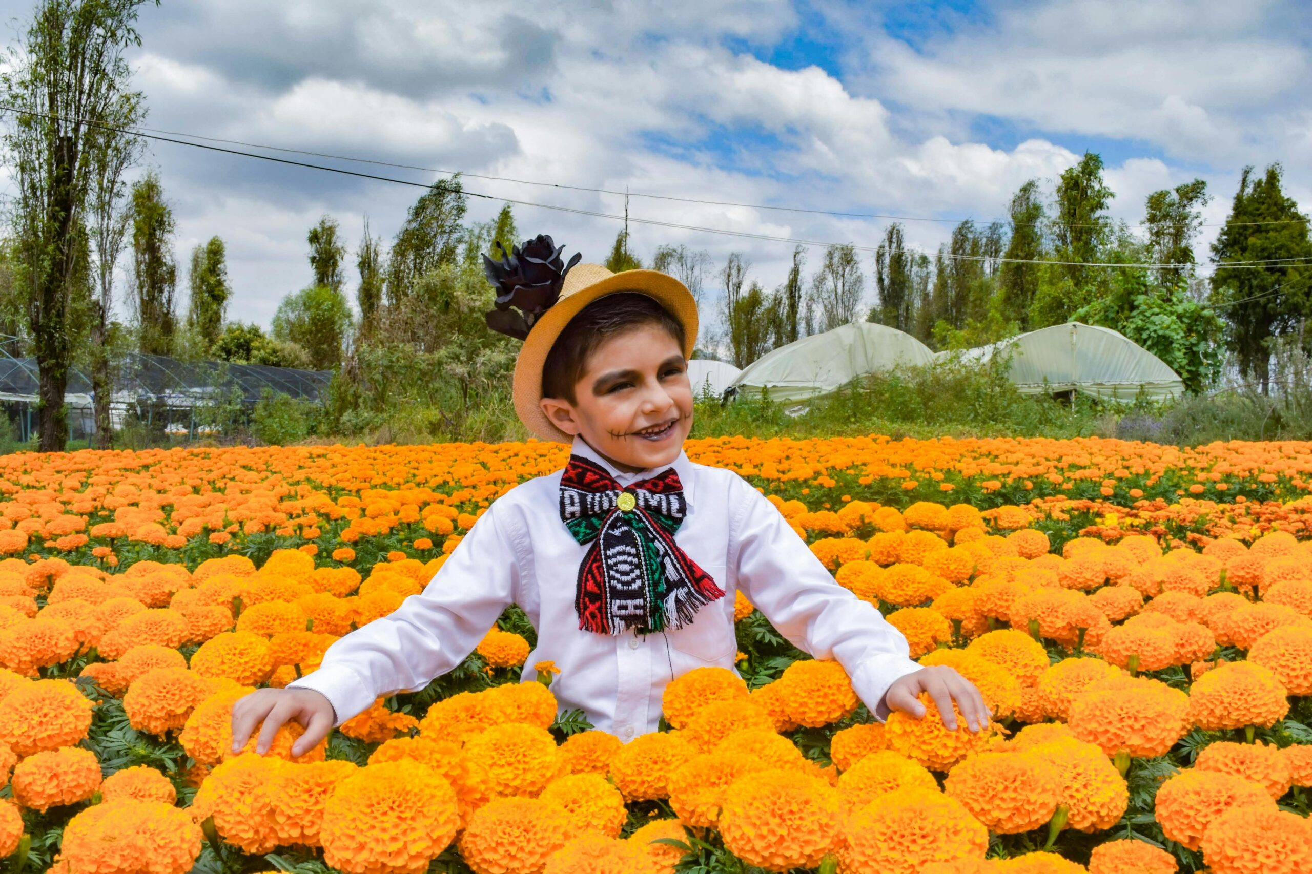 pexels eduardo gonzalez 224803592 14205401