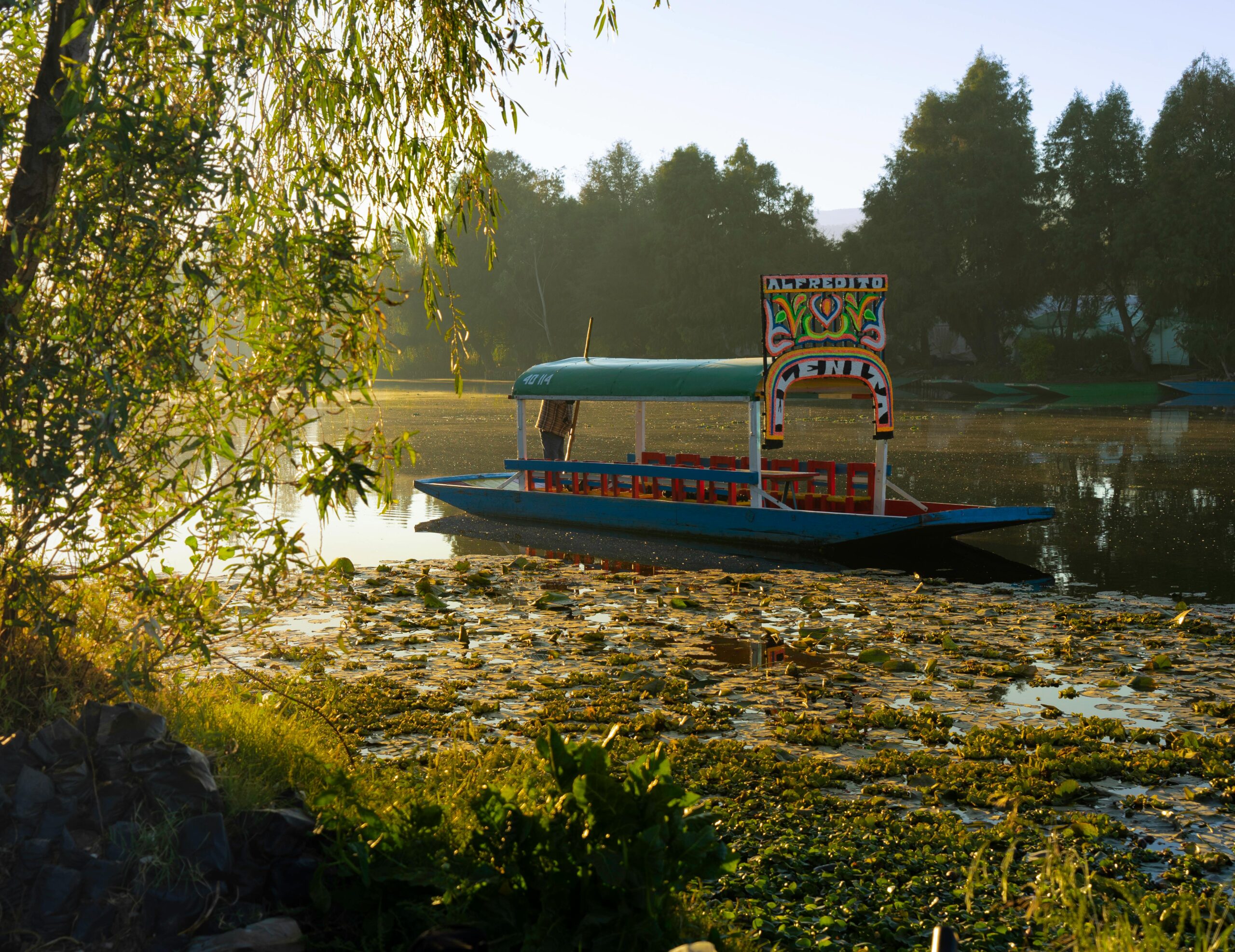 pexels viridianaor 11482355