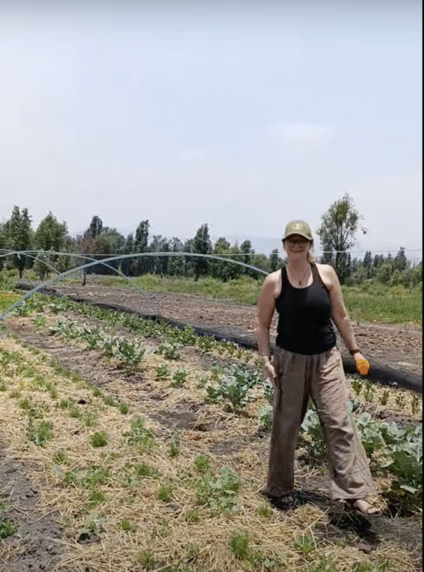 Harvesting activity for adults