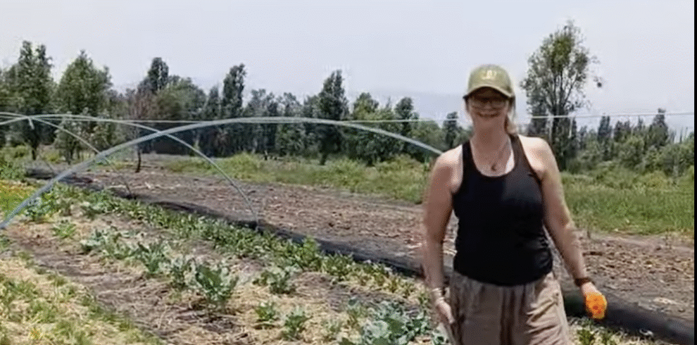 Harvesting activity for adults