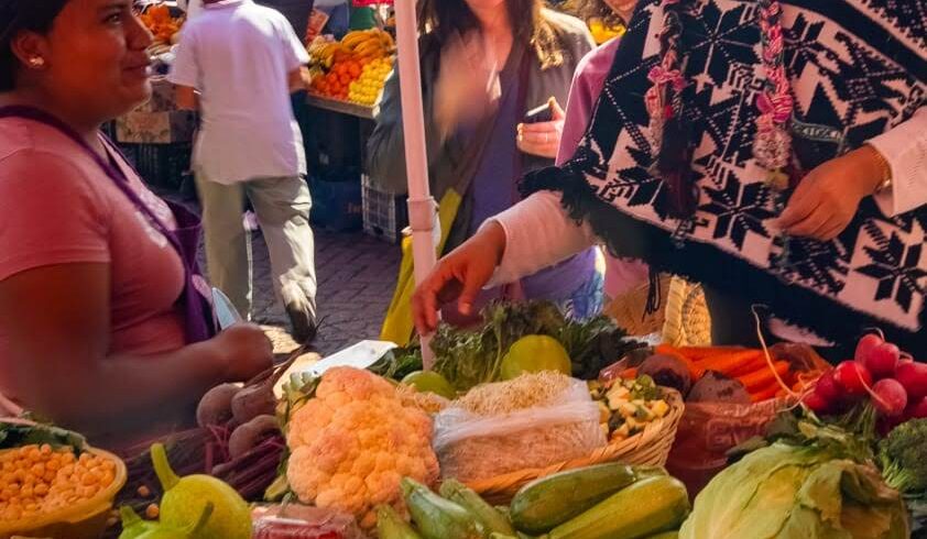 Camina hasta el mercado de agricultores de Xochimilco.