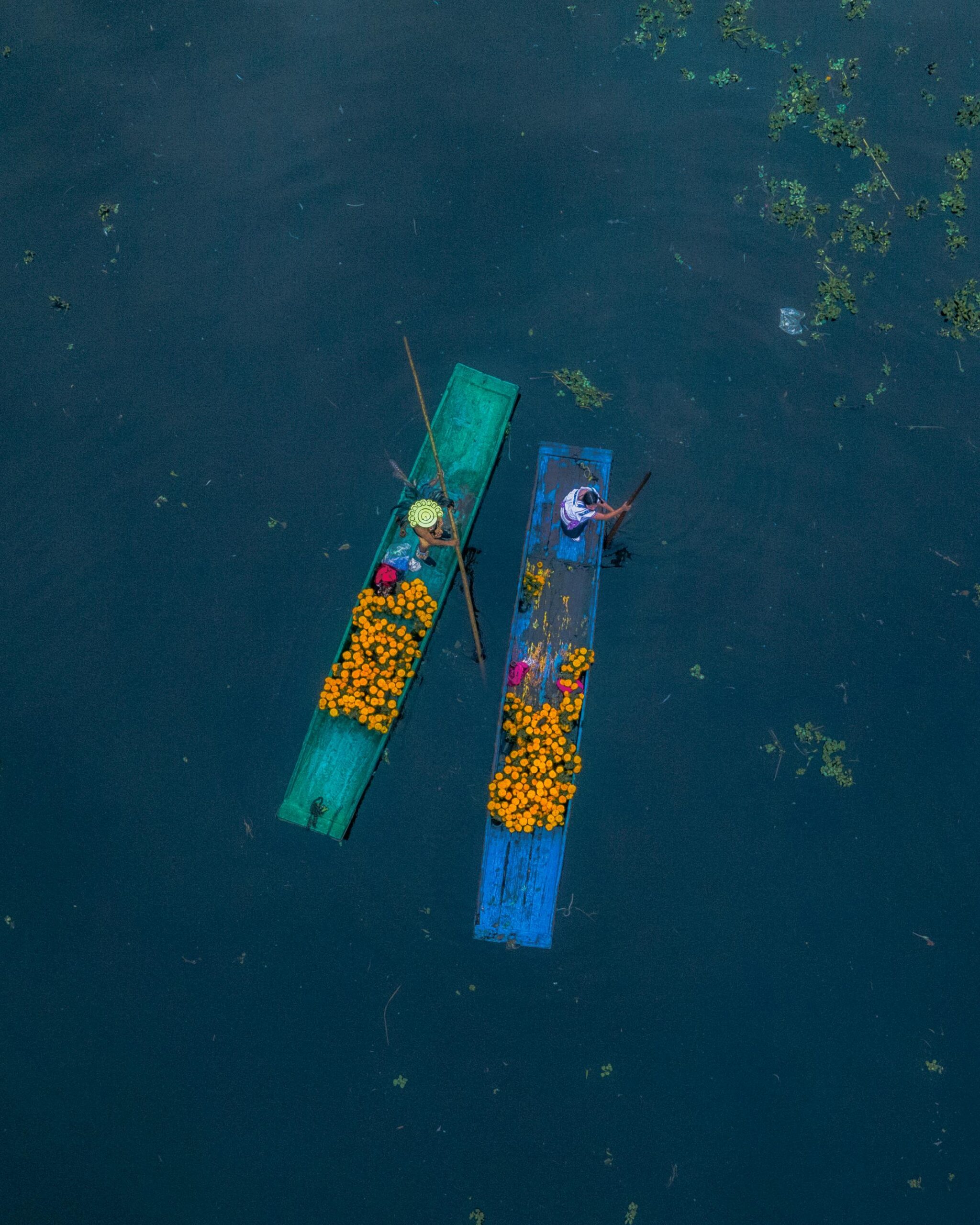 pexels victor armas 262050668 14356583