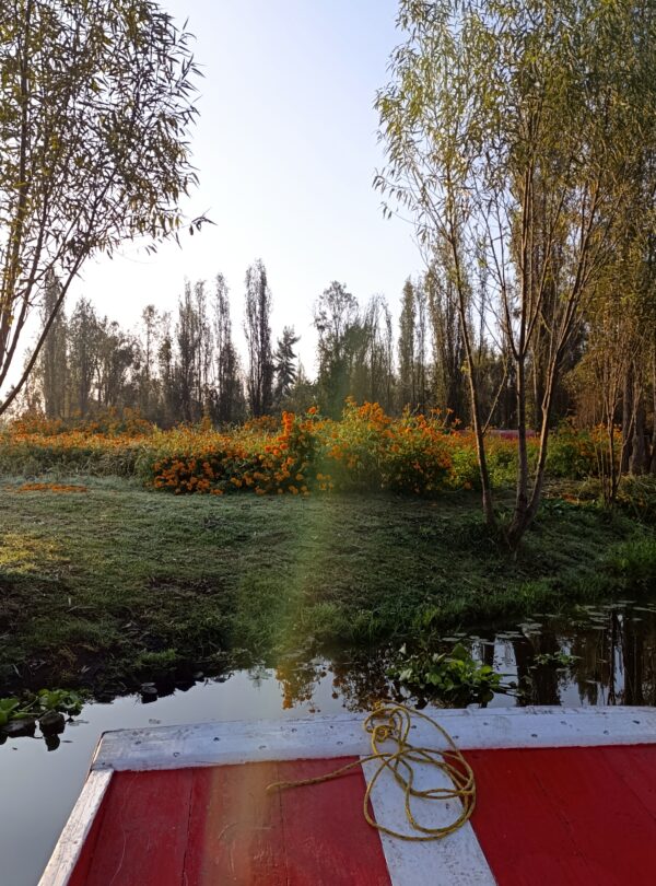 copia de img 20241106 073226