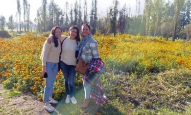 img 20241106 083230